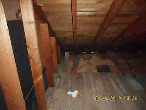 12380 Wade (29)_m.jpg